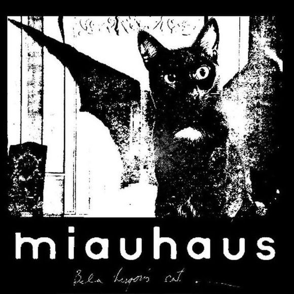 Meet your Posher, Miss K Marie - Picture 6 of 6